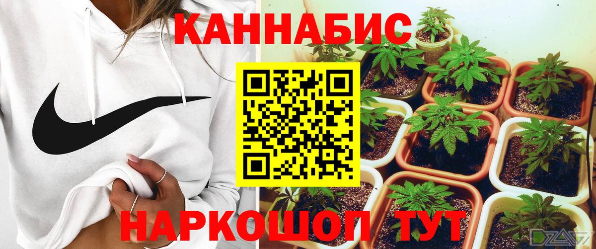 Псилоцибиновые грибы Среднеуральск